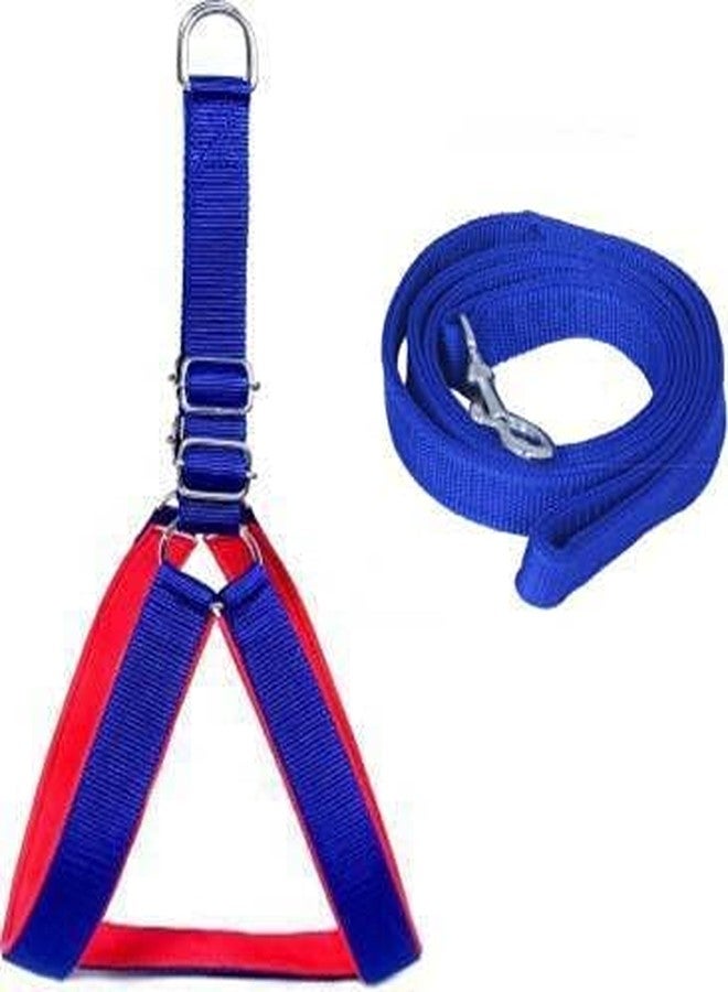 Pups&Pets Dog Belt Combo of 1 inch Royal Blue, Red Padded Dog Body Harness with Handle Blue Dog Leash, Adjustable Chest Size (Medium, Royal Blue, Red) - Image 1